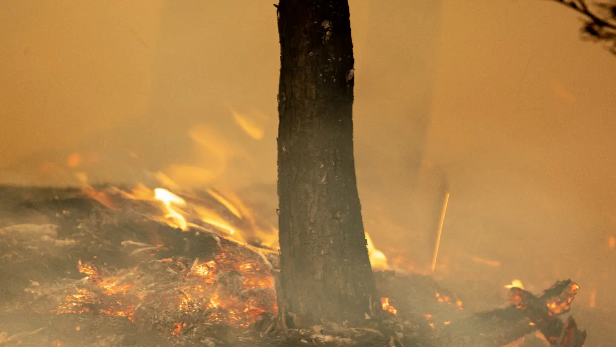 Extra Sporting; Incêndio em Portugal mobiliza centenas de operacionais