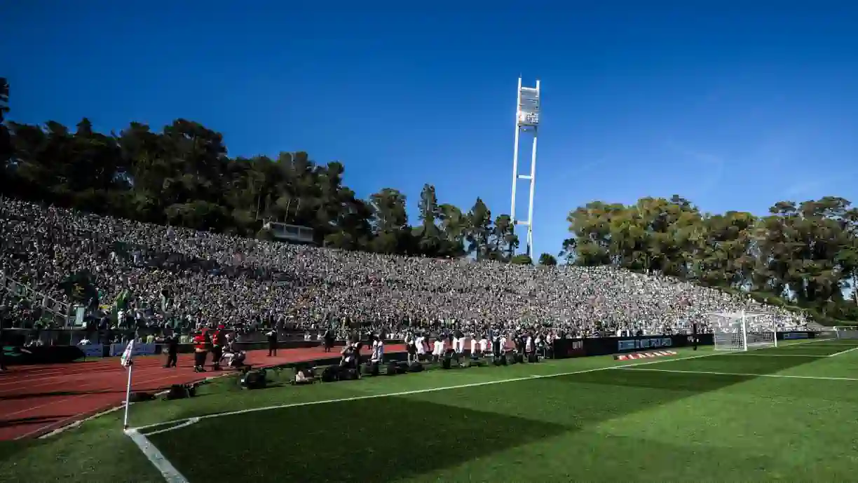 Vários adeptos do Sporting acabaram por comprar bilhetes como sócios do Torreense, mas podem não ser permitidos adereços aos leões